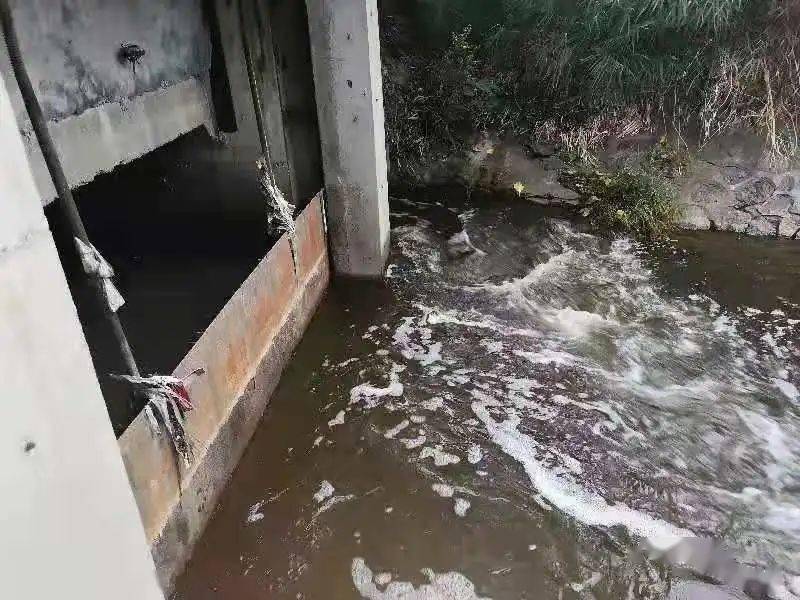 生物毒性檢測儀可以檢測什么？