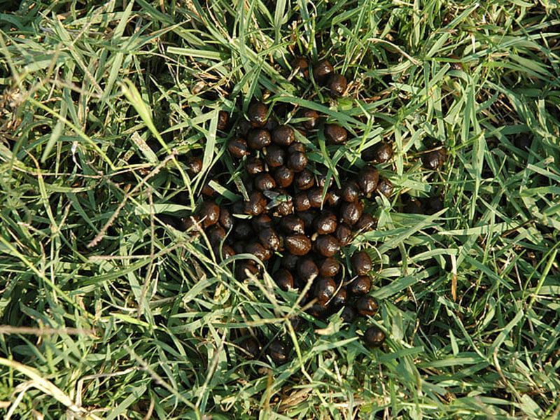 為什么要檢測肥料中的水分？