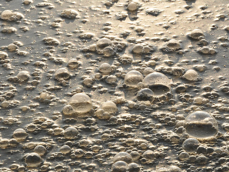 在線COD檢測儀可滿足各行各業的監測需求