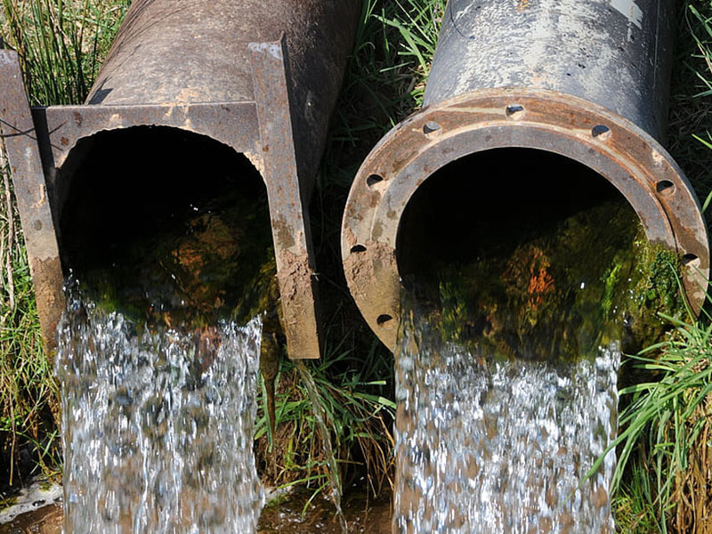 云唐生物毒性測試儀更智能 云唐生物毒性測試儀更智能