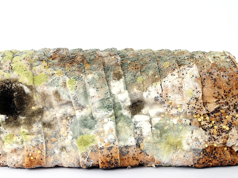 食品中的黃曲霉毒素要怎么去除？