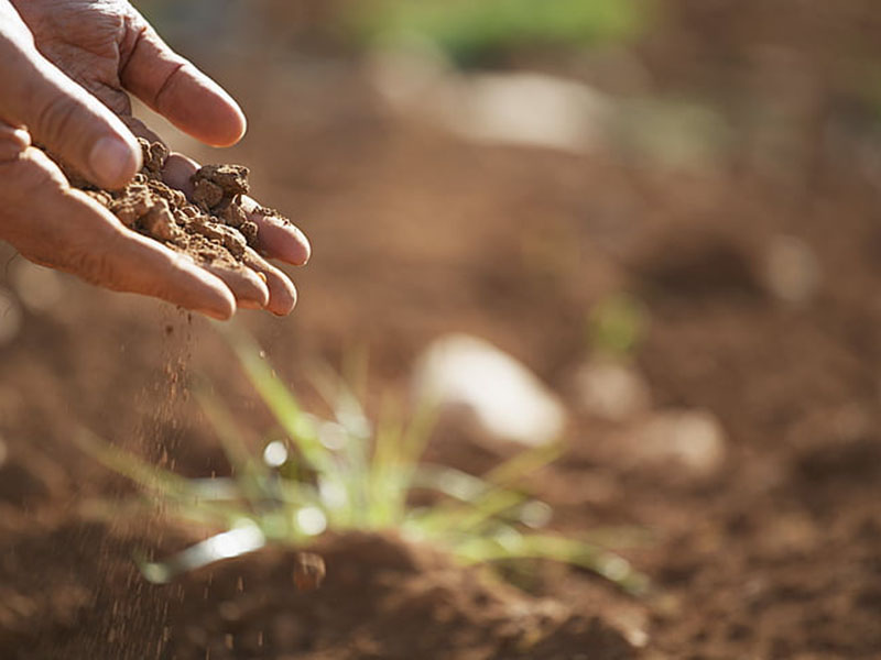 土壤肥料養(yǎng)分檢測(cè)儀靠譜嗎 土壤肥料養(yǎng)分檢測(cè)儀靠譜嗎