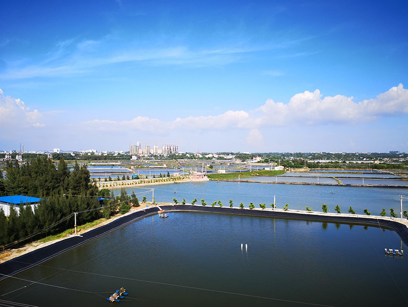 水產(chǎn)養(yǎng)殖殘藥檢測儀 水產(chǎn)養(yǎng)殖殘藥檢測儀