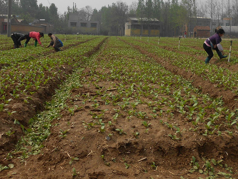 測土配方施肥儀 測土配方施肥儀