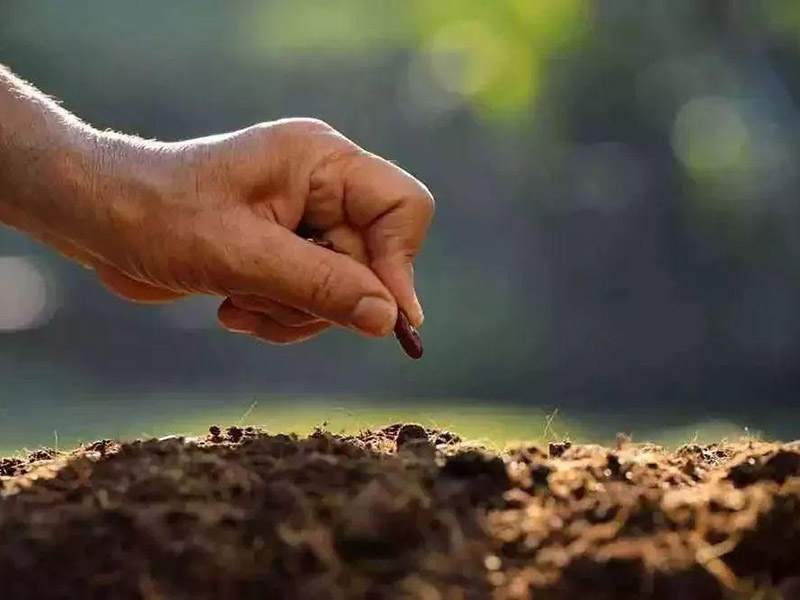 土壤有機質(zhì)含量的檢測 10.jpg