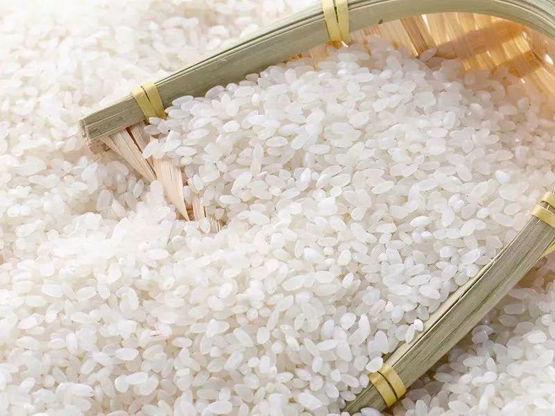 云唐大米重金屬鎘快速檢測儀介紹 云唐大米重金屬鎘快速檢測儀介紹