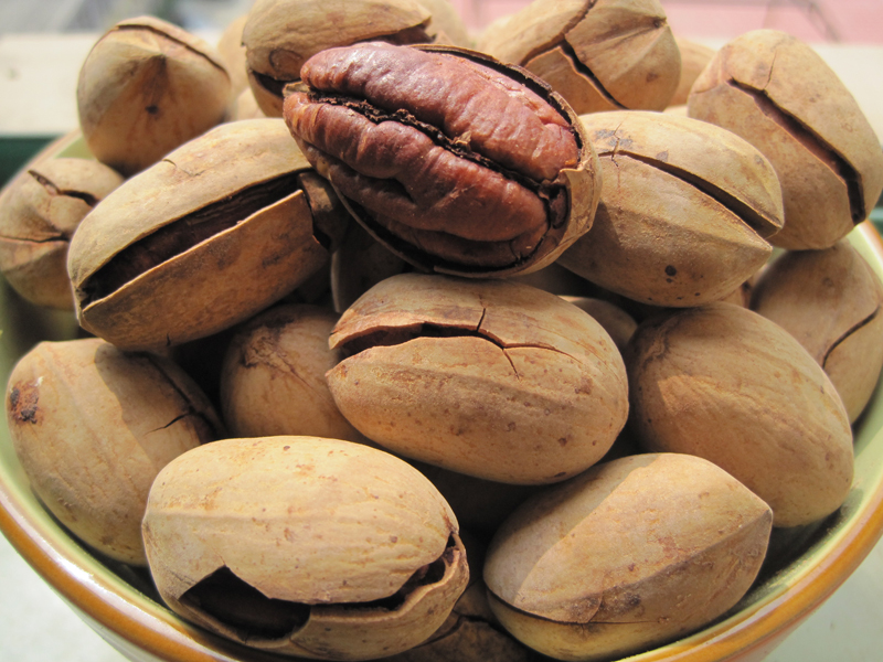 碧根果苗種植,怎樣的土壤*合適 碧根果苗種植,怎樣的土壤*合適