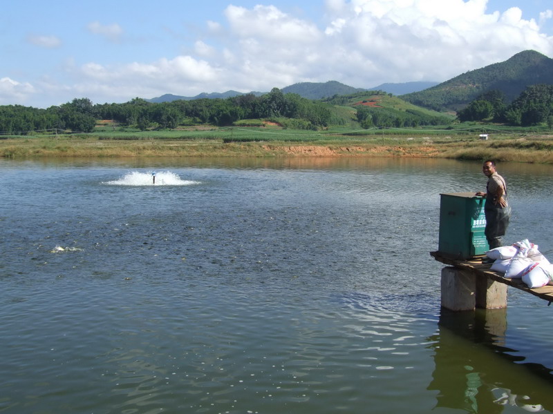 水產(chǎn)養(yǎng)殖檢測(cè)儀,為水產(chǎn)提供優(yōu)良的生長(zhǎng)環(huán)境 水產(chǎn)養(yǎng)殖檢測(cè)儀,為水產(chǎn)提供優(yōu)良的生長(zhǎng)環(huán)境