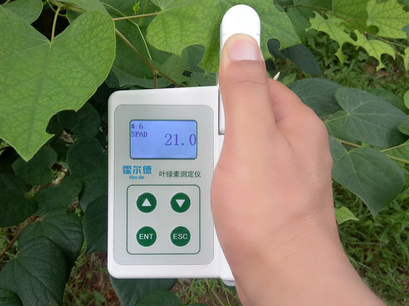 葉綠素含量測(cè)量?jī)x,可用于植物施肥的依據(jù) 葉綠素含量測(cè)量?jī)x,可用于植物施肥的依據(jù)